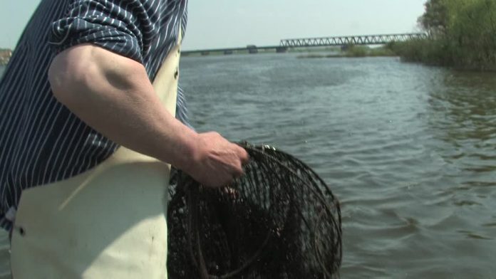 Capturer un drone sous-marin espion, c'est le jackpot assuré