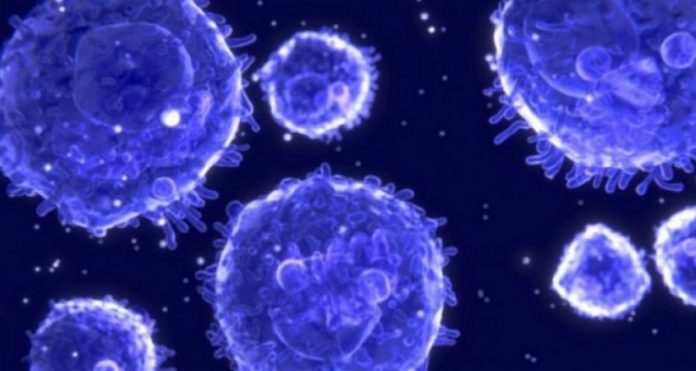 Cardiff : Une cellule pouvant s'attaquer à tous les cancers