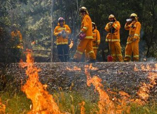 Des pompiers français sont arrivés en Australie (détail) Des pompiers français sont arrivés en Australie (détail)