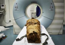 Des scientifiques reconstituent la voix d’une momie égyptienne (étude) Des scientifiques reconstituent la voix d'une momie égyptienne (étude)