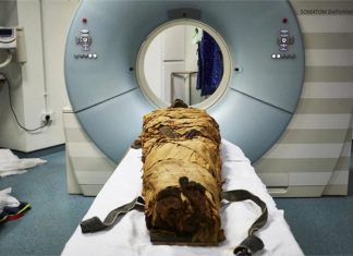 Des scientifiques reconstituent la voix d’une momie égyptienne (étude) Des scientifiques reconstituent la voix d'une momie égyptienne (étude)