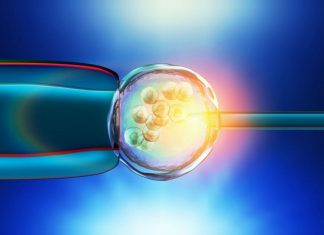 Hongrie: FIV gratuite pour relancer la natalité (détail) Hongrie: FIV gratuite pour relancer la natalité (détail)