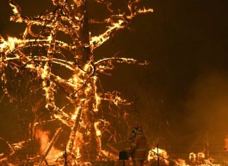 Incendies en Australie : opération de sauvetage pour les rescapés sur les plages Incendies en Australie : opération de sauvetage pour les rescapés sur les plages