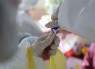 Covid-19 : nom officiel du coronavirus (détail) Covid-19 : nom officiel du coronavirus (détail)