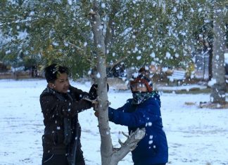 Irak: il neige à Baghdad, un phénomène très rare Irak: il neige à Baghdad, un phénomène très rare