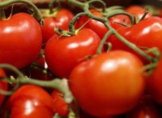 Le virus de la tomate touche la France (détail) Le virus de la tomate touche la France (détail)