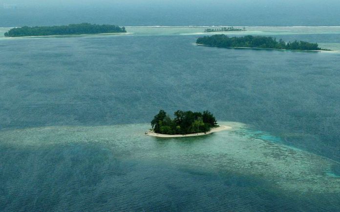 Quatre survivants sauvés après 32 jours de dérive dans le Pacifique (détail) Quatre survivants sauvés après 32 jours de dérive dans le Pacifique (détail)