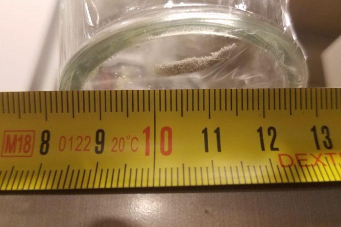 Vers dans du lait infantile : Danone écarte une contamination sur le site de production