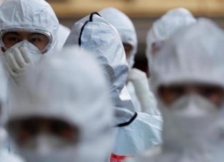 Actualités Coronavirus : 357 morts de plus en 24h à l’hôpital Actualités Coronavirus : 357 morts de plus en 24h à l'hôpital