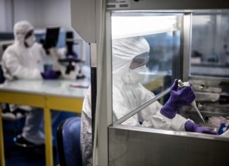Coronavirus: un vaccin efficace chez les singes (détail) Covid-19 : le vaccin Pfizer/BioNTech approuvé pour une utilisation au Royaume-Uni (détail)