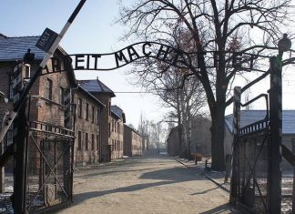 Auschwitz : Des objets cachés par des prisonniers découverts Auschwitz : Des objets cachés par des prisonniers découverts