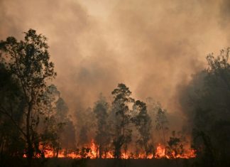 Australie : la fumée des récents incendies à l’origine de centaines de décès (détail) Australie : la fumée des récents incendies à l'origine de centaines de décès (détail)