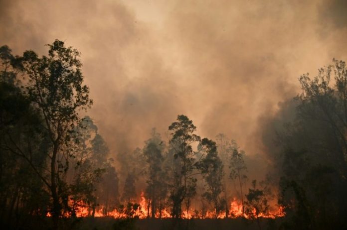 Australie : la fumée des récents incendies à l'origine de centaines de décès (détail)