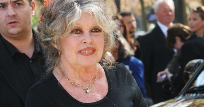 Brigitte Bardot poursuivie pour injures raciales, renvoyée en correctionnelle Brigitte Bardot poursuivie pour injures raciales, renvoyée en correctionnelle