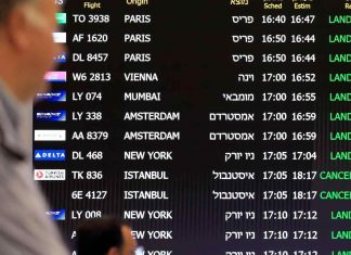 Coronavirus: Une quarantaine à l’entrée sur le territoire français ? Coronavirus: Une quarantaine à l'entrée sur le territoire français ?