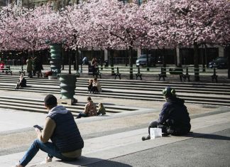 COVID-19: la mortalité en France retrouve un niveau normal au mois de mai COVID-19: la mortalité en France retrouve un niveau normal au mois de mai