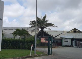 La Guyane enregistre 67 nouveaux cas de Coronavirus en deux jours La Guyane enregistre 67 nouveaux cas de Coronavirus en deux jours