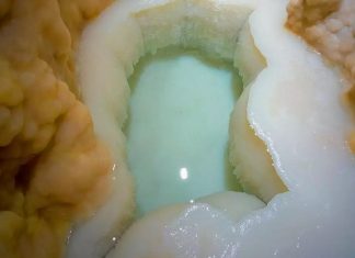 Découverte d’une retenue d’eau « vierge » de tout contact humain aux États-Unis Découverte d'une retenue d'eau « vierge » de tout contact humain aux États-Unis