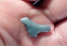 Découverte d’une sculpture de 13 500 ans en Chine représente un passereau Découverte d'une sculpture de 13 500 ans en Chine représente un passereau