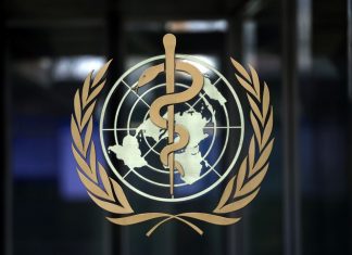 L’OMS alerte sur une recrudescence des cas de Coronavirus en Europe L’OMS alerte sur une recrudescence des cas de Coronavirus en Europe