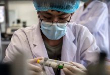 L’OMS envoie une équipe en Chine pour déterminer l’origine du coronavirus (détail) Coronavirus France en direct : Cluster découvert dans un hôpital à Marseille