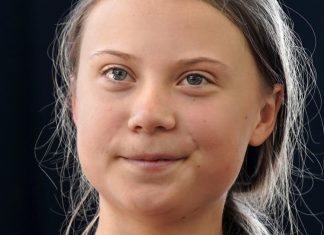 Pour Greta Thunberg, le monde a franchi un « point de basculement social » (détail) Pour Greta Thunberg, le monde a franchi un « point de basculement social » (détail)