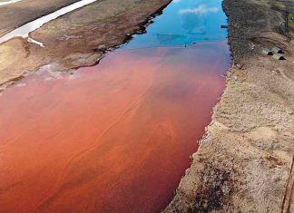 Une grave pollution au carburant en Arctique (détail) Une grave pollution au carburant en Arctique (détail)
