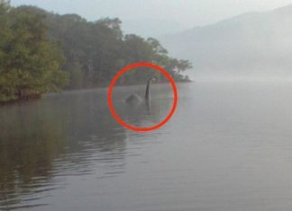 Une nouvelle photo du monstre du Loch Ness capturée en Ecosse Une nouvelle photo du monstre du Loch Ness capturée en Ecosse