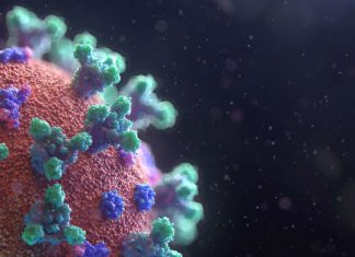 Coronavirus : premières preuves de son risque infectieux (détail) « Tant que la Covid-19 circule, tout le monde est en danger », rappelle l’OMS