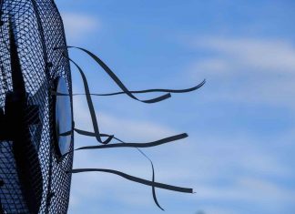 Canicule France : des chaleurs plus fortes encore Canicule France : des chaleurs plus fortes encore