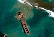 Marée noire à l’île Maurice : le capitaine du bateau arrêté (détail) Marée noire à l'île Maurice : le capitaine du bateau arrêté (détail)