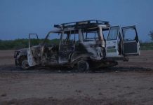Niger : des humanitaires français tués par des hommes armés (détail) Niger : des humanitaires français tués par des hommes armés (détail)