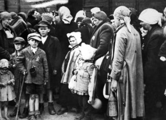 Enseignement: grâce à l’école, les jeunes connaissent la Shoah (détail) Enseignement: grâce à l'école, les jeunes connaissent la Shoah (détail)