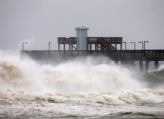 États-Unis : l’ouragan Sally devrait frapper le sud-est du pays (détail) États-Unis : l'ouragan Sally devrait frapper le sud-est du pays (détail)