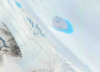 Nouveau record de froid identifié dans l’hémisphère nord : -69 degrés (détail) Nouveau record de froid identifié dans l'hémisphère nord : -69 degrés (détail)