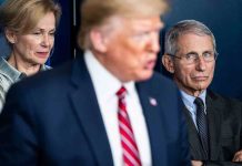 Résultats de l’élection américaine : recours judiciaires lancés par Donald Trump Election américaine: Trump donne son feu vert au processus de transition