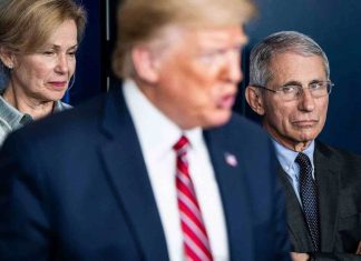 Election américaine: Trump donne son feu vert au processus de transition Election américaine: Trump donne son feu vert au processus de transition