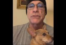 Jean-Claude Van Damme sauve un chiot sans papier Jean-Claude Van Damme sauve un chiot sans papier