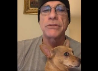 Jean-Claude Van Damme sauve un chiot sans papier Jean-Claude Van Damme sauve un chiot sans papier