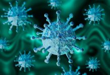 Coronavirus France en direct : le seuil des 34.000 morts franchis Direct – Chiffres Covid : Bilan en France, Vendredi 19 Février 2021