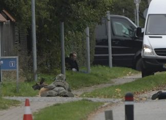 Peter Madsen arrêté après une évasion (détail) Peter Madsen arrêté après une évasion (détail)