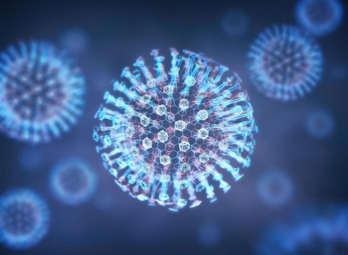 Variole de l'Alaska : un nouveau virus détecté aux États-Unis (détail)