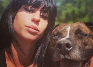 Affaire Elisa Pilarski : le chien Curtis serait bien à l’origine de la mort de sa maîtresse Affaire Elisa Pilarski : le chien Curtis serait bien à l'origine de la mort de sa maîtresse