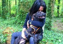 Affaire Pilarski : Brigitte Bardot plaide en faveur du chien Curtis Affaire Pilarski : Brigitte Bardot plaide en faveur du chien Curtis