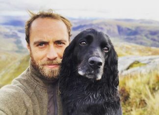 Kate Middleton et William endeuillés par la mort de leur chien Lupo ! (détail) Kate Middleton et William endeuillés par la mort de leur chien Lupo ! (détail)