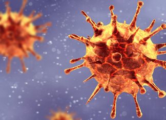 Mutation du Covid-19 en France : Les vols depuis le Royaume-Uni suspendus Mutation du Covid-19 en France : Les vols depuis le Royaume-Uni suspendus