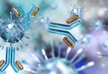 Covid-19 : l’immunité durerait 8 mois après une première infection selon une nouvelle étude Covid-19 : l’immunité durerait 8 mois après une première infection selon une nouvelle étude