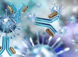 Covid-19 : l’immunité durerait 8 mois après une première infection selon une nouvelle étude Covid-19 : l’immunité durerait 8 mois après une première infection selon une nouvelle étude