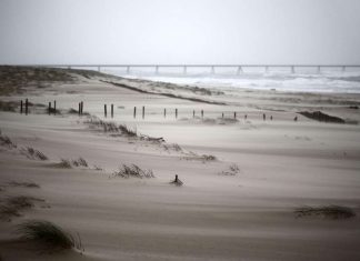 La tempête Hortense arrive sur le Sud-Ouest, quatre départements en vigilance orange La tempête Hortense arrive sur le Sud-Ouest, quatre départements en vigilance orange