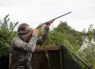 « C’est du massacre » : dans le Haut-Rhin, les chasseurs refusent de chasser (détail) "C'est du massacre" : dans le Haut-Rhin, les chasseurs refusent de chasser (détail)